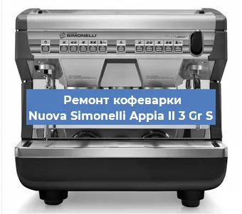 Чистка кофемашины Nuova Simonelli Appia II 3 Gr S от накипи в Красноярске